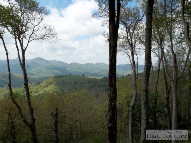 890 Fox Meadow Road Banner Elk, NC 28604 - Photo 11 of 18 Gallery Image 11