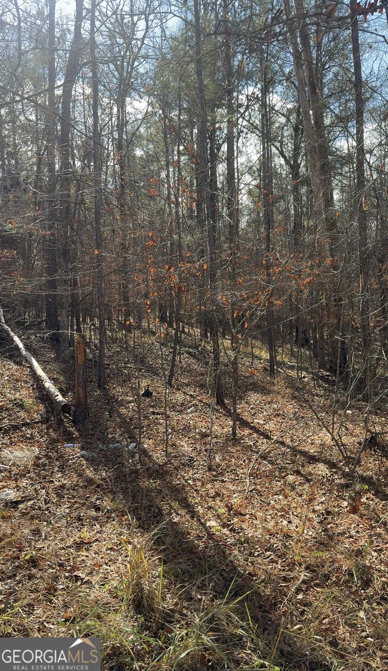 Lot 182 Bluegill Road Eatonton, GA 31024 - Photo 1 of 1 Gallery Image 1