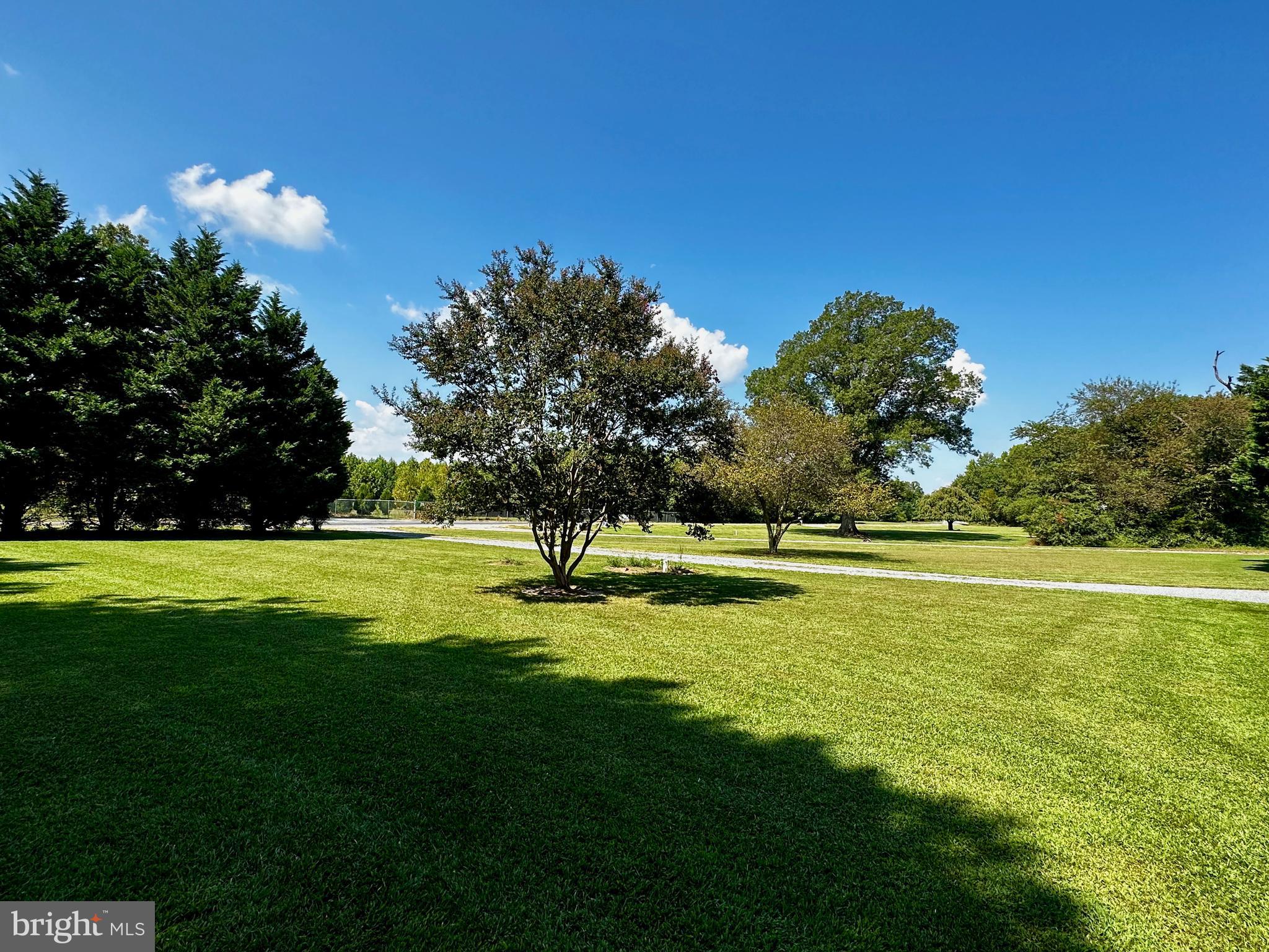 12171 River Road Ridgely, MD 21660 - Photo 26 of 26 Gallery Image 26
