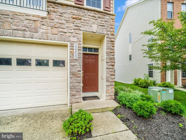 a view of a garden with a tree