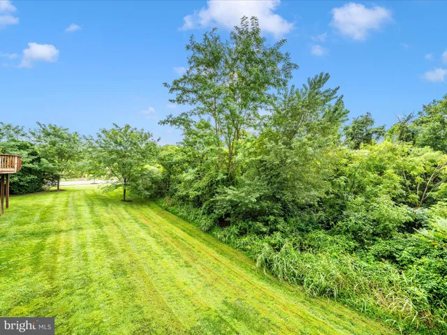 a view of a garden with a bench