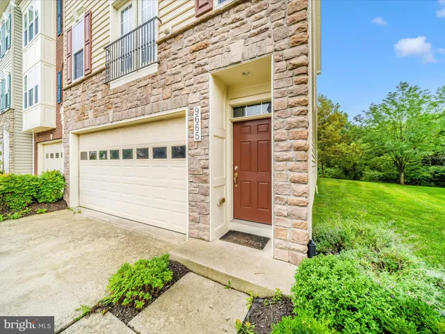 a view of a garden with a tree