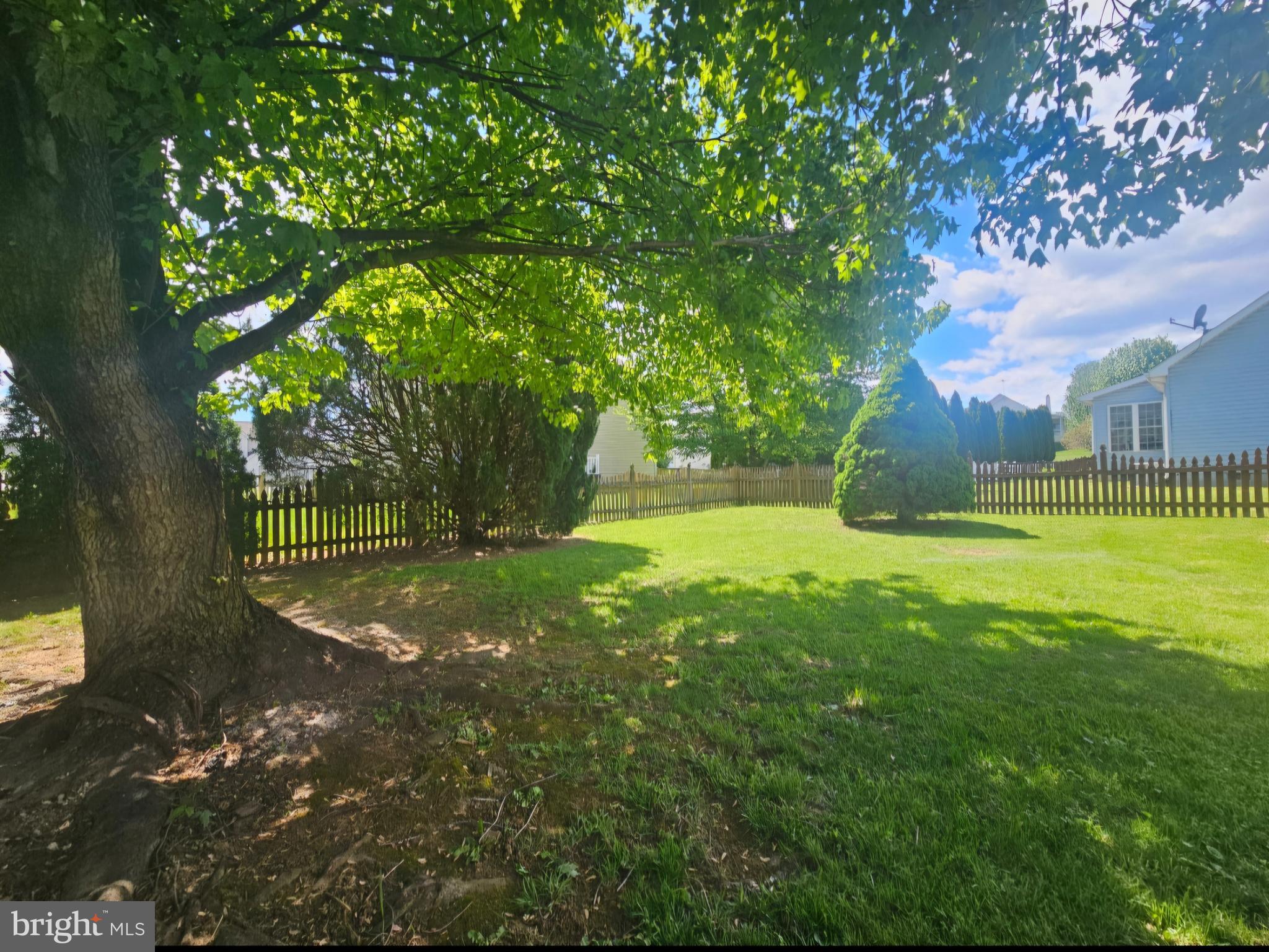 61 Clemson Lane Falling Waters, WV 25419 - Photo 35 of 37 a view of a yard with a tree