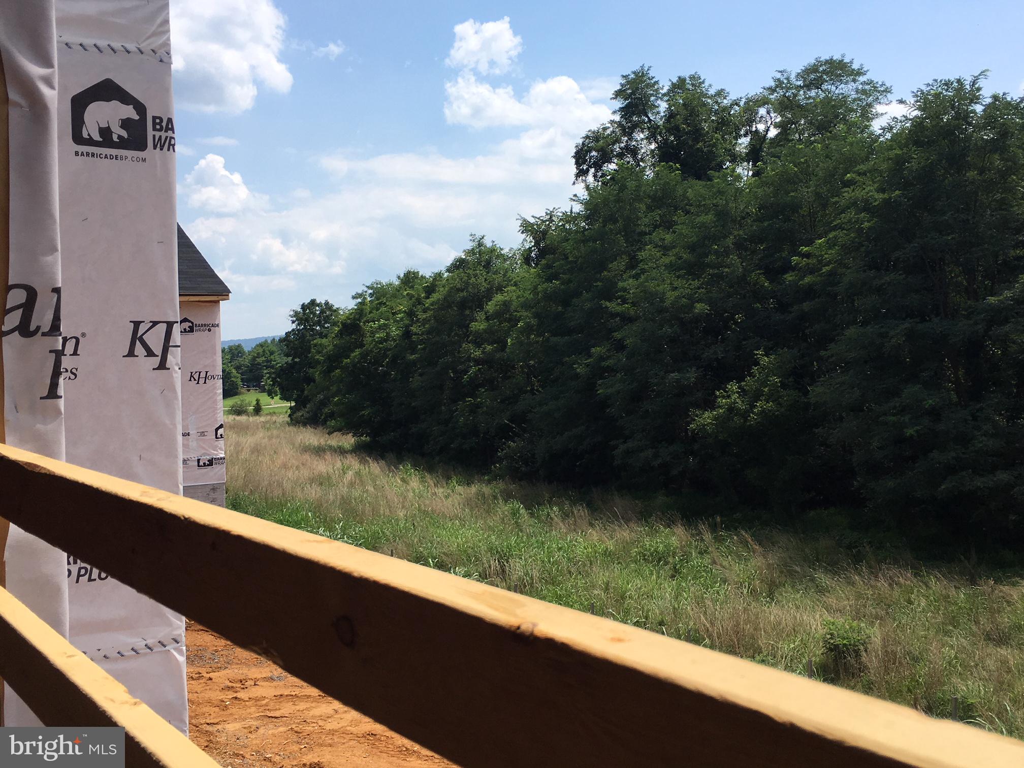 206 Shallow Creek Drive Ranson, WV 25438 - Photo 15 of 19 Rear view- current construction