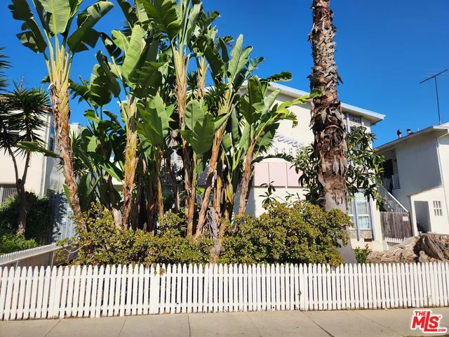 a view of a pathway with flower pots