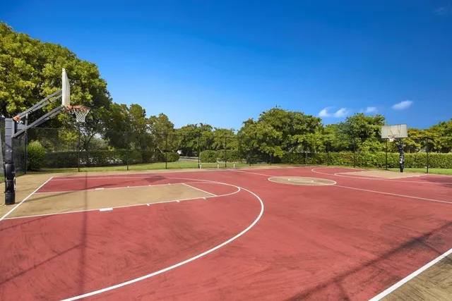 a view of a backyard with table and chairs potted plants and palm tree