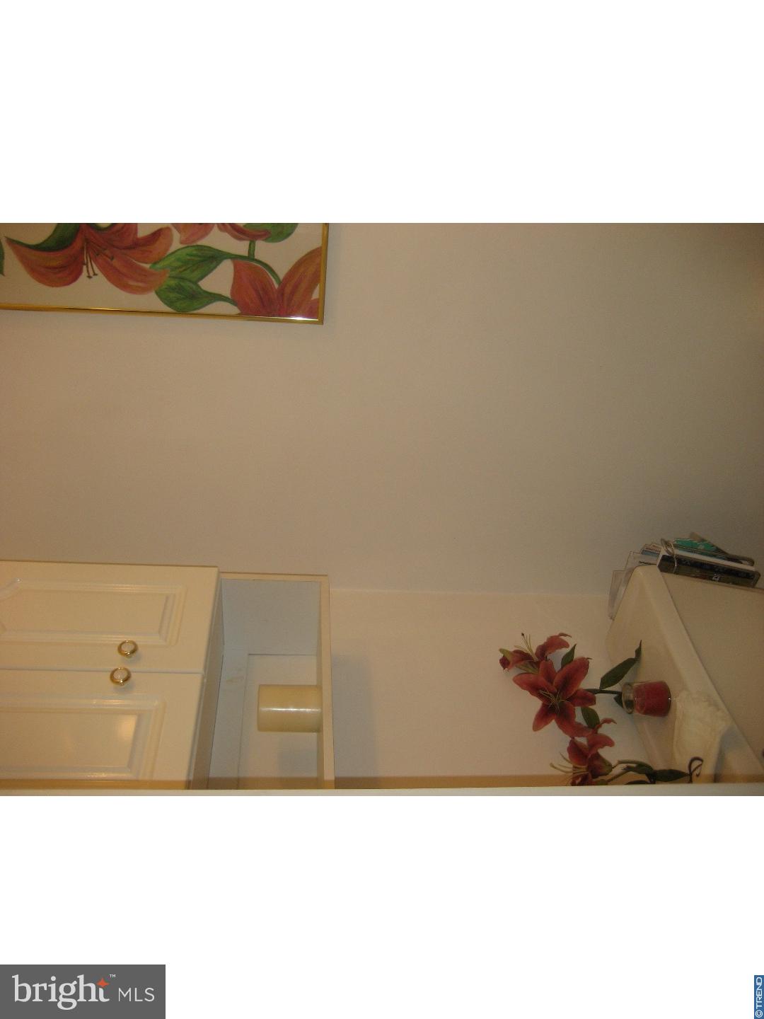 14-4 Cranberry Ridge, Unit 3 Reading, PA 19606 - Photo 10 of 24 a bathroom with a sink and mirror