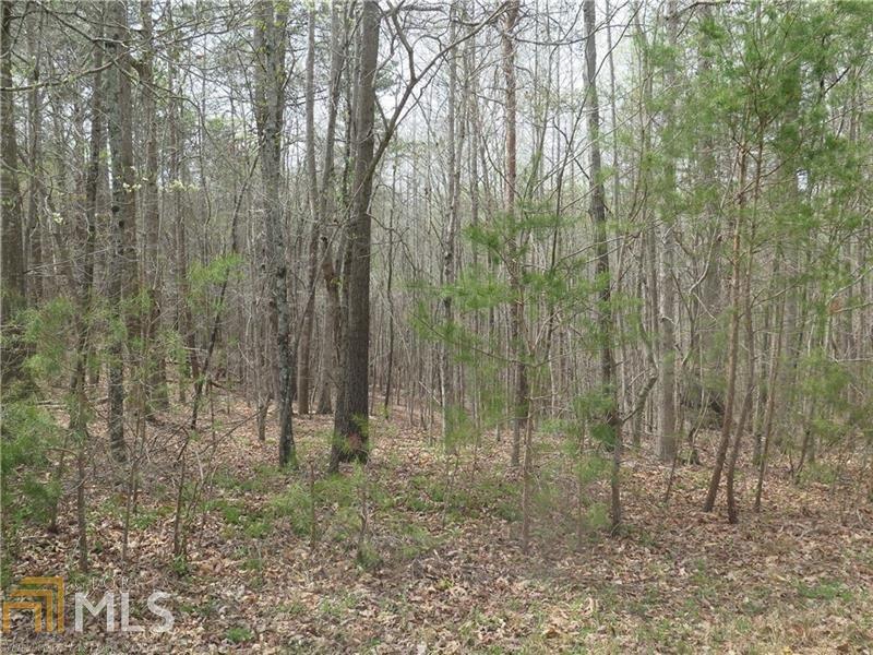 3343 Eberhart Cemetary Road Gainesville, GA 30507 - Photo 1 of 1 Gallery Image 1