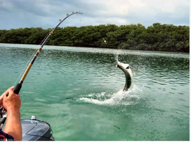 a view of a lake from a yard