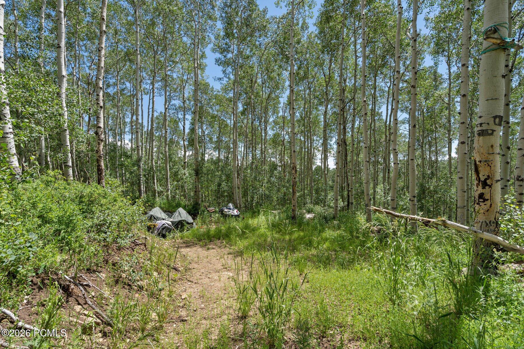 2086 West Bright Star Road Park City, UT 84060 - Photo 9 of 14