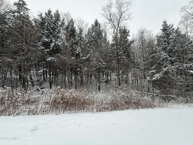 $95,000 | 370 Carrera Lane, Middle Granville, NY 12849