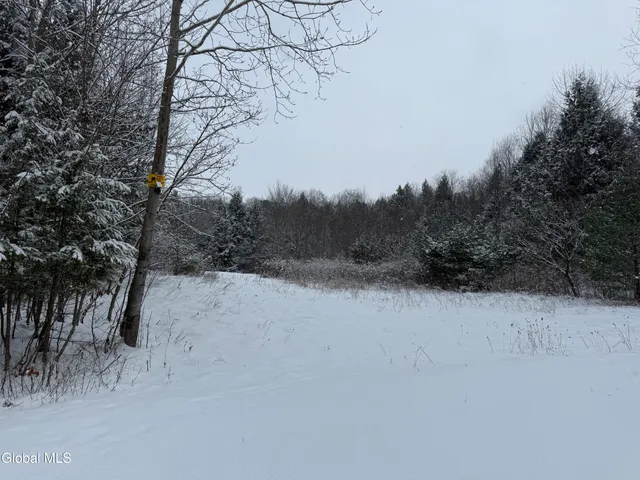 $95,000 | 370 Carrera Lane, Middle Granville, NY 12849