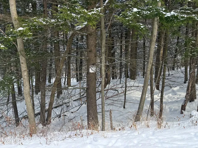 $95,000 | 370 Carrera Lane, Middle Granville, NY 12849