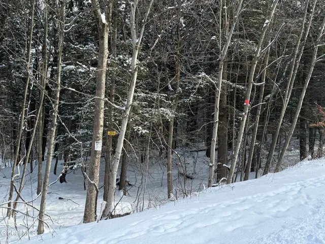 $95,000 | 370 Carrera Lane, Middle Granville, NY 12849