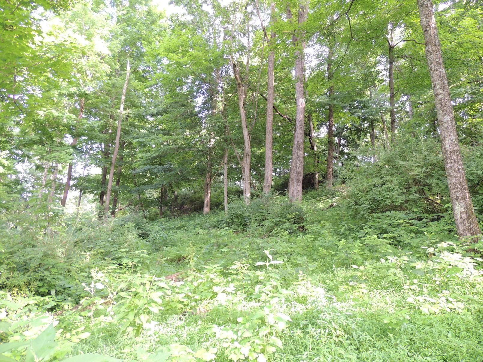 0 Opossum Hollow Road Newark, OH 43055 - Photo 11 of 25