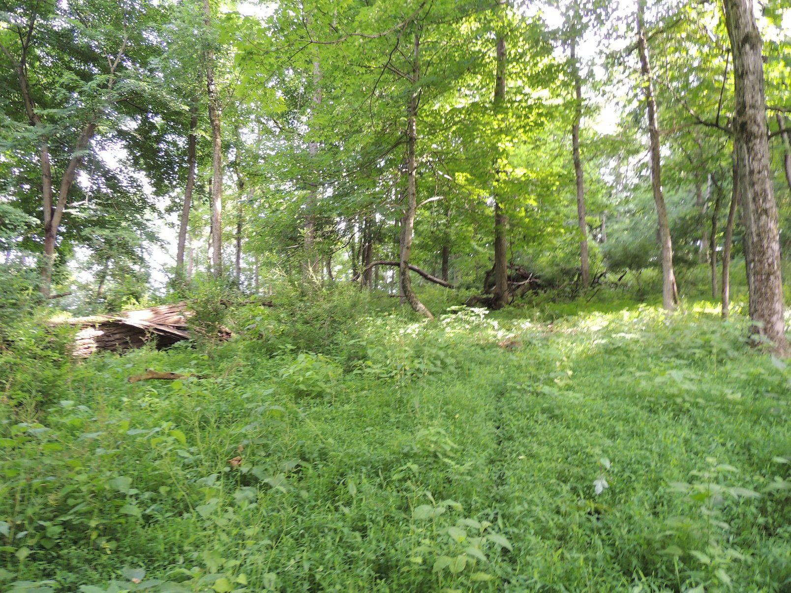 0 Opossum Hollow Road Newark, OH 43055 - Photo 12 of 25