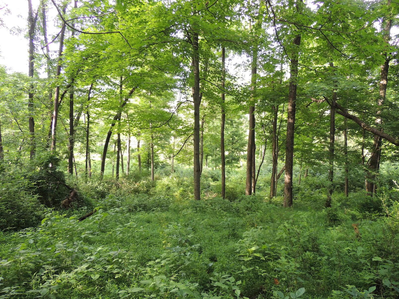 0 Opossum Hollow Road Newark, OH 43055 - Photo 13 of 25