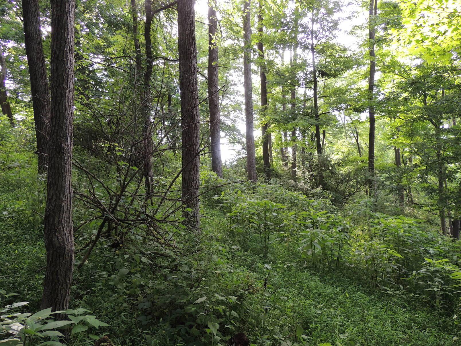 0 Opossum Hollow Road Newark, OH 43055 - Photo 14 of 25