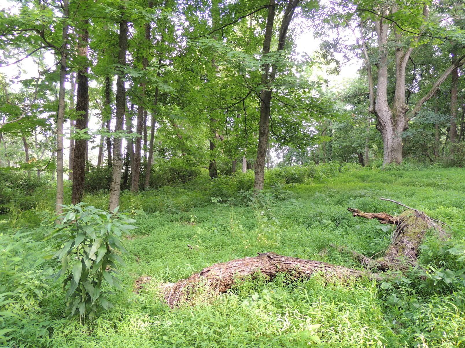 0 Opossum Hollow Road Newark, OH 43055 - Photo 15 of 25