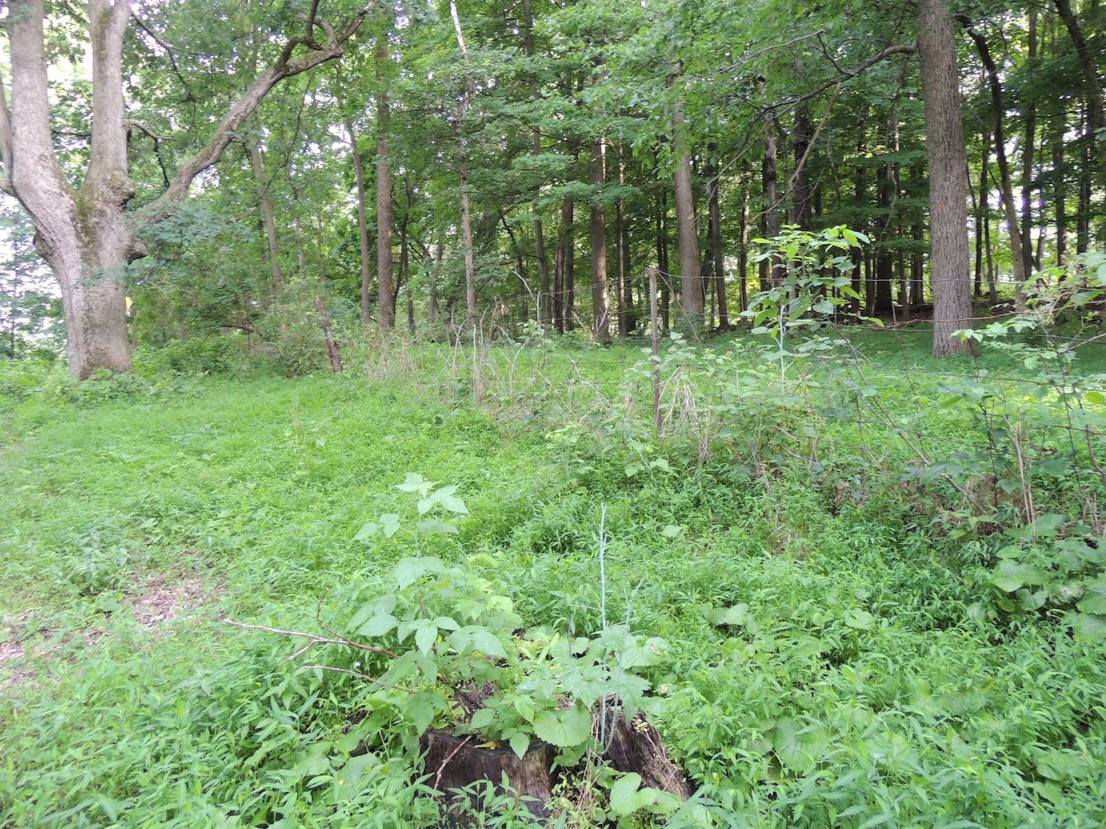 0 Opossum Hollow Road Newark, OH 43055 - Photo 16 of 25