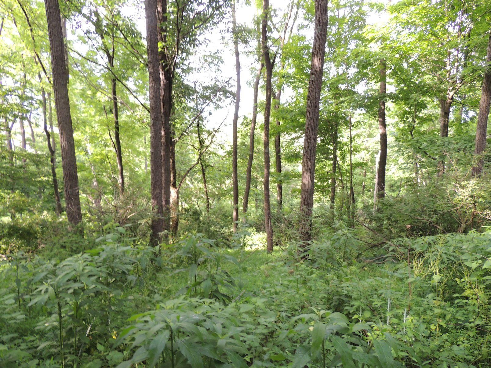 0 Opossum Hollow Road Newark, OH 43055 - Photo 18 of 25