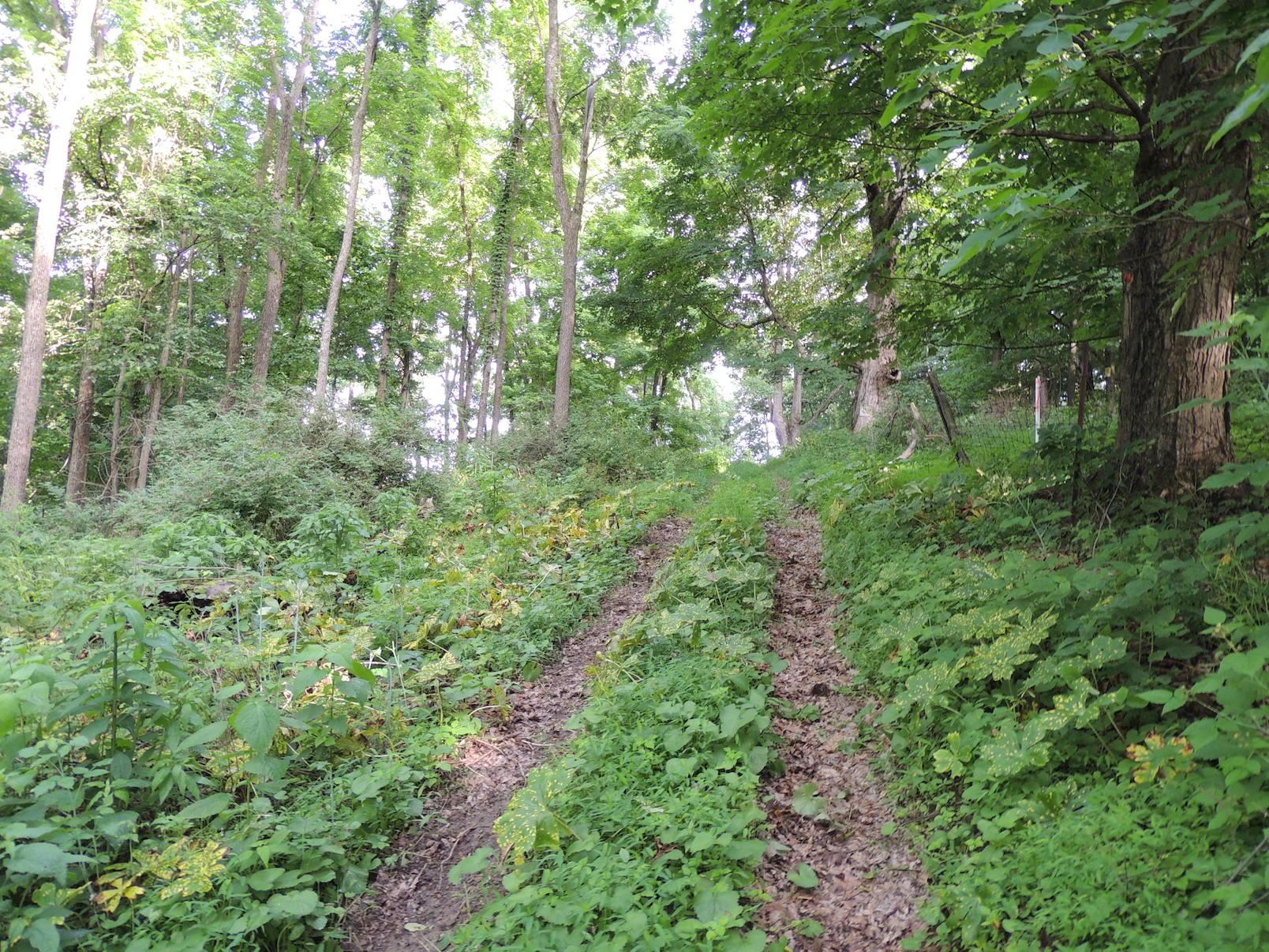 0 Opossum Hollow Road Newark, OH 43055 - Photo 19 of 25
