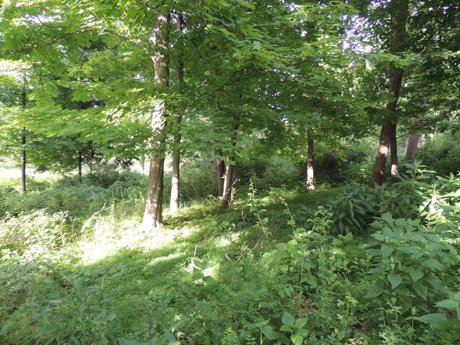 0 Opossum Hollow Road Newark, OH 43055 - Photo 20 of 25