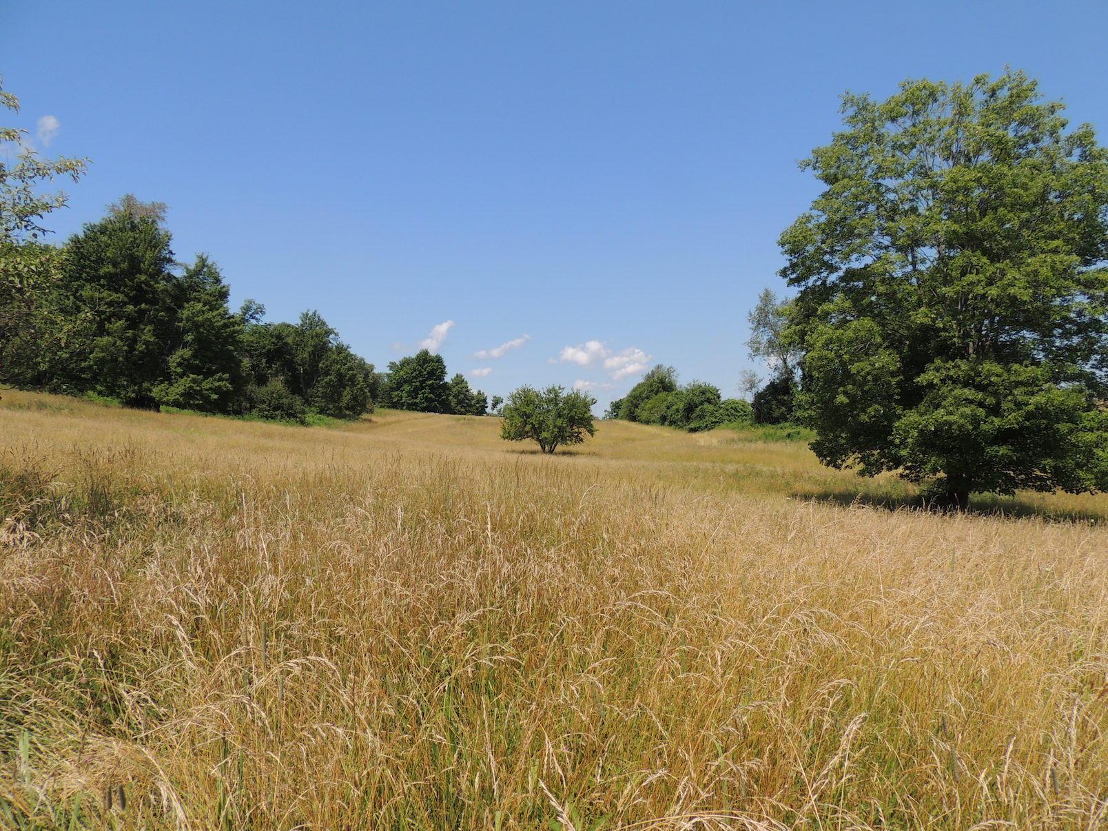 0 Opossum Hollow Road Newark, OH 43055 - Photo 24 of 25