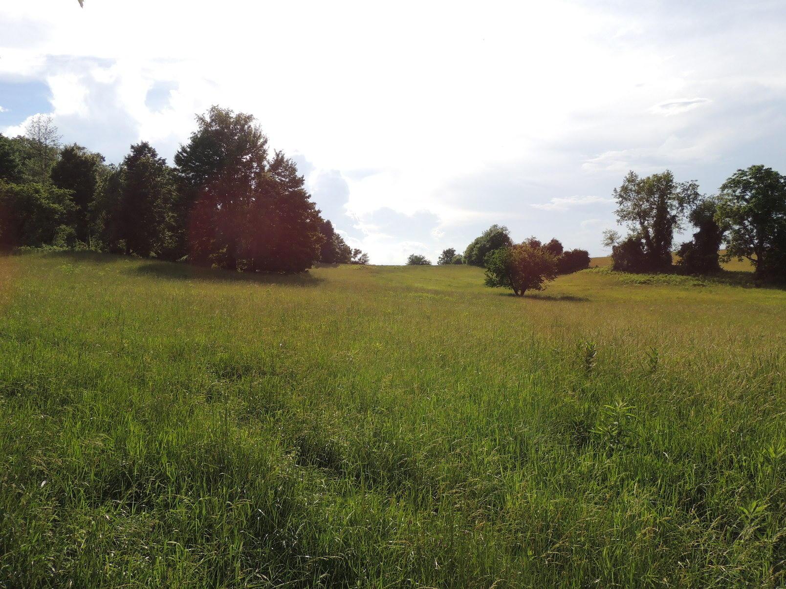 0 Opossum Hollow Road Newark, OH 43055 - Photo 6 of 25