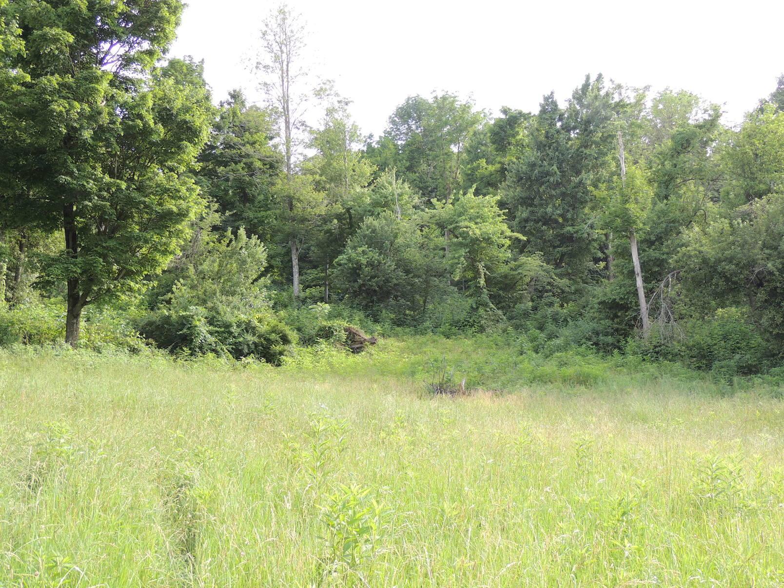 0 Opossum Hollow Road Newark, OH 43055 - Photo 9 of 25