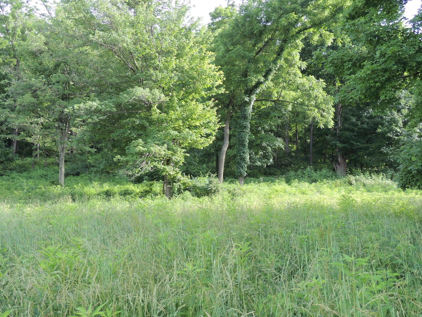 0 Opossum Hollow Road Newark, OH 43055 - Photo 10 of 25