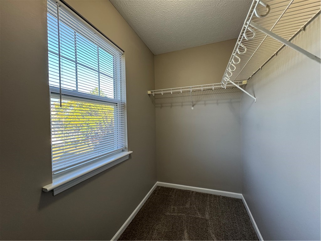 778 Royal Sunset Drive Webster, NY 14580 - Photo 24 of 38 Typical primary bedroom spacious walk-in closet