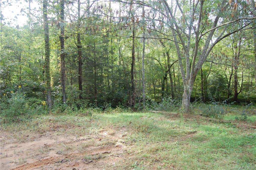 385 Pipers Neck Rutherfordton, NC 28139 - Photo 3 of 13 a view of a forest with trees in the background