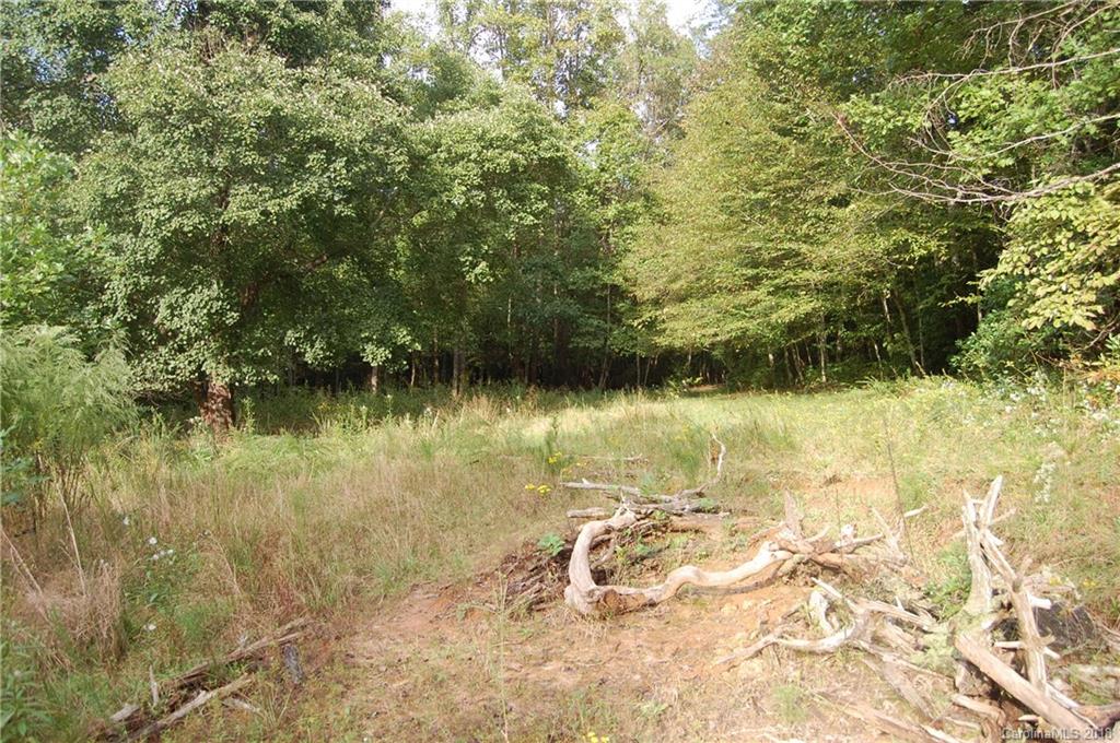 385 Pipers Neck Rutherfordton, NC 28139 - Photo 4 of 13 a view of lake view