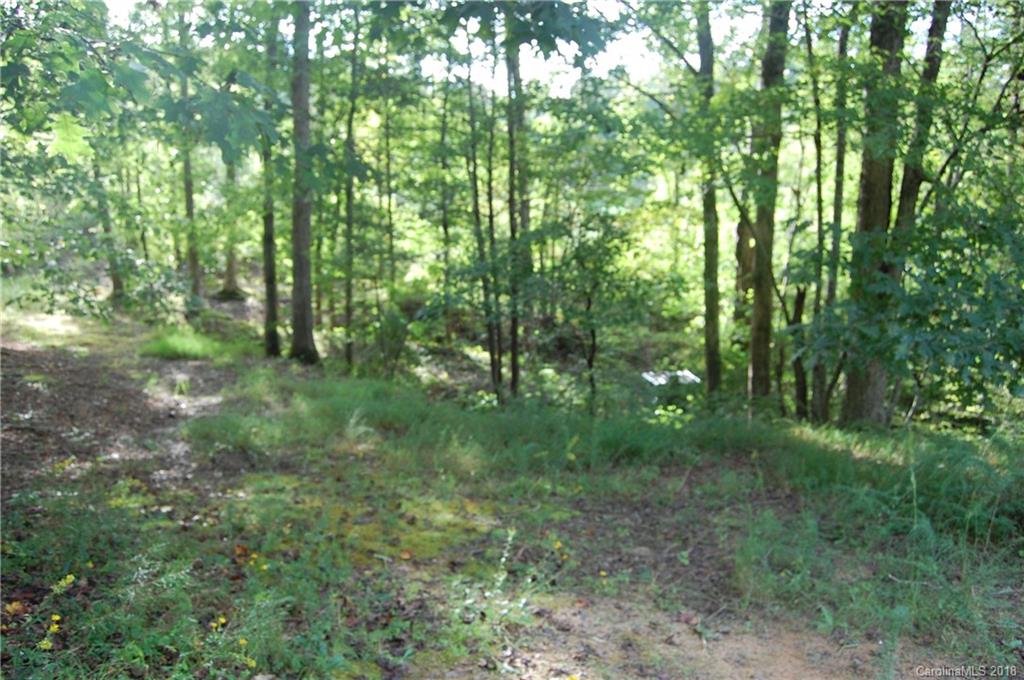 385 Pipers Neck Rutherfordton, NC 28139 - Photo 8 of 13 a view of outdoor space and green space