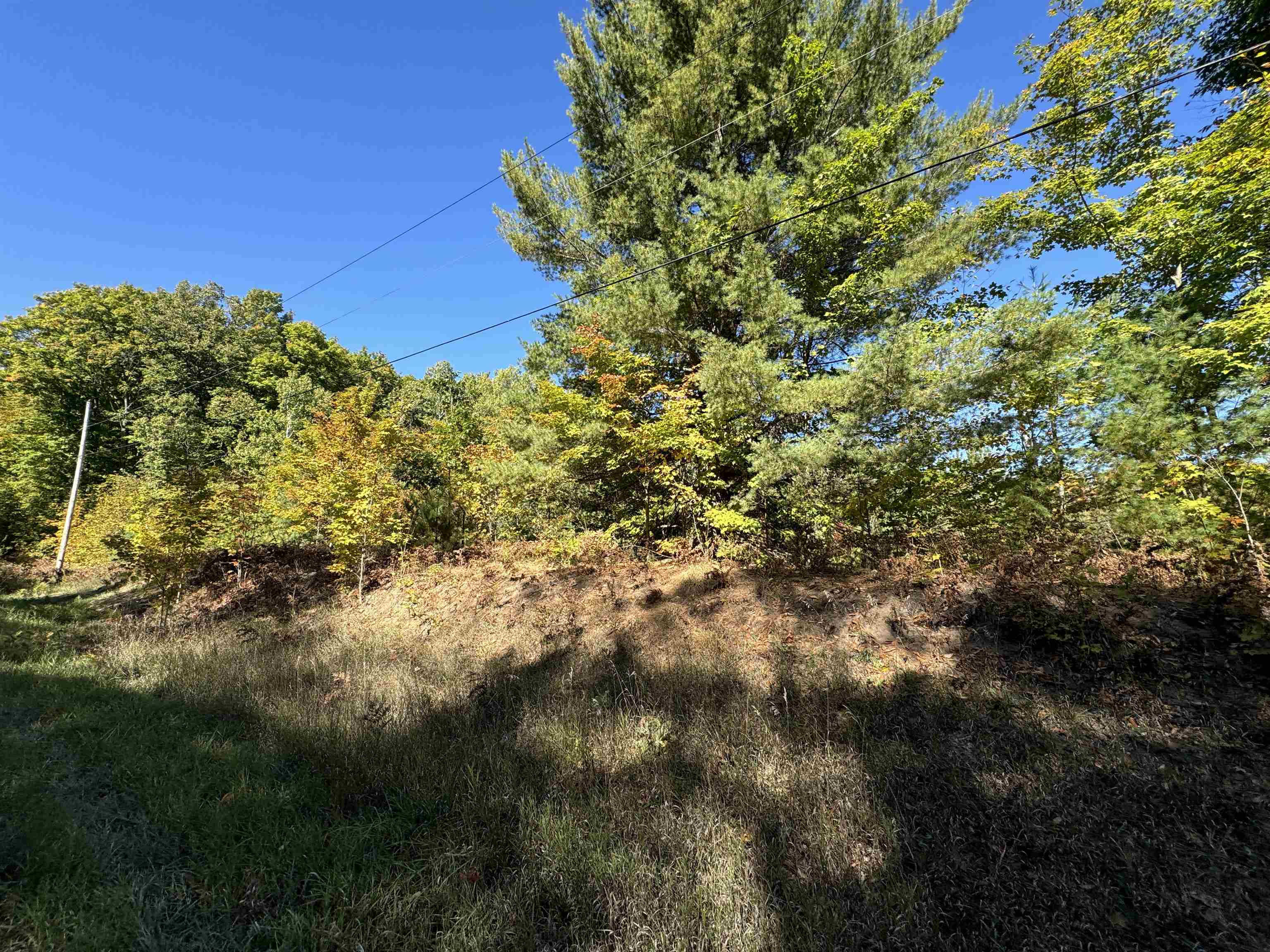 Lot 279 West 6th Road Buckley, MI 49620 - Photo 15 of 19 Gallery Image 15
