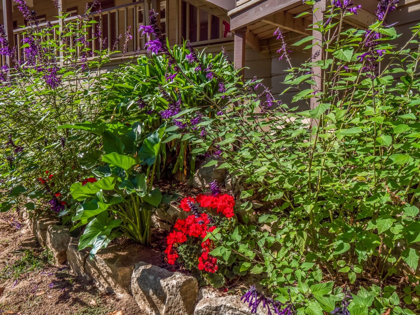 200 Keystone Way Santa Cruz, CA 95060 - Photo 70 of 74 Gallery Image 70