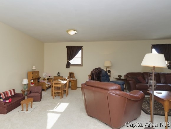 1105 Old Crows Way Springfield, IL 62712 - Photo 11 of 24