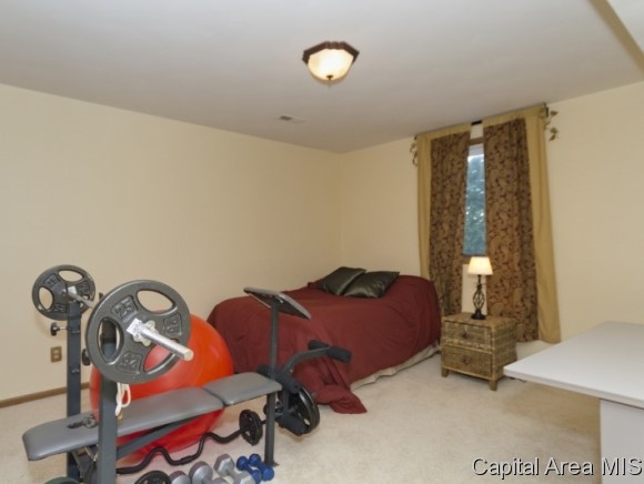 1105 Old Crows Way Springfield, IL 62712 - Photo 17 of 24