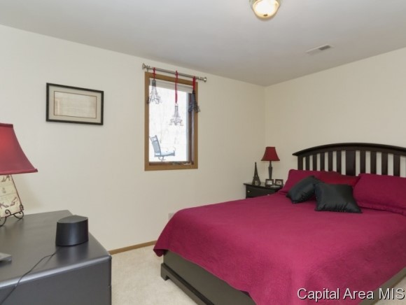 1105 Old Crows Way Springfield, IL 62712 - Photo 18 of 24