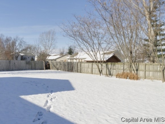 1105 Old Crows Way Springfield, IL 62712 - Photo 21 of 24