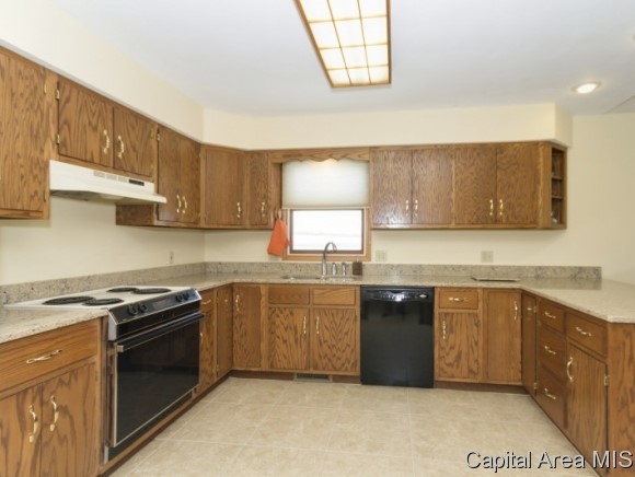 1105 Old Crows Way Springfield, IL 62712 - Photo 4 of 24