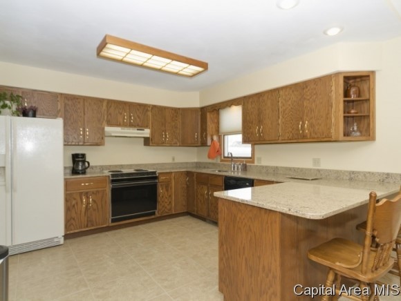 1105 Old Crows Way Springfield, IL 62712 - Photo 9 of 24
