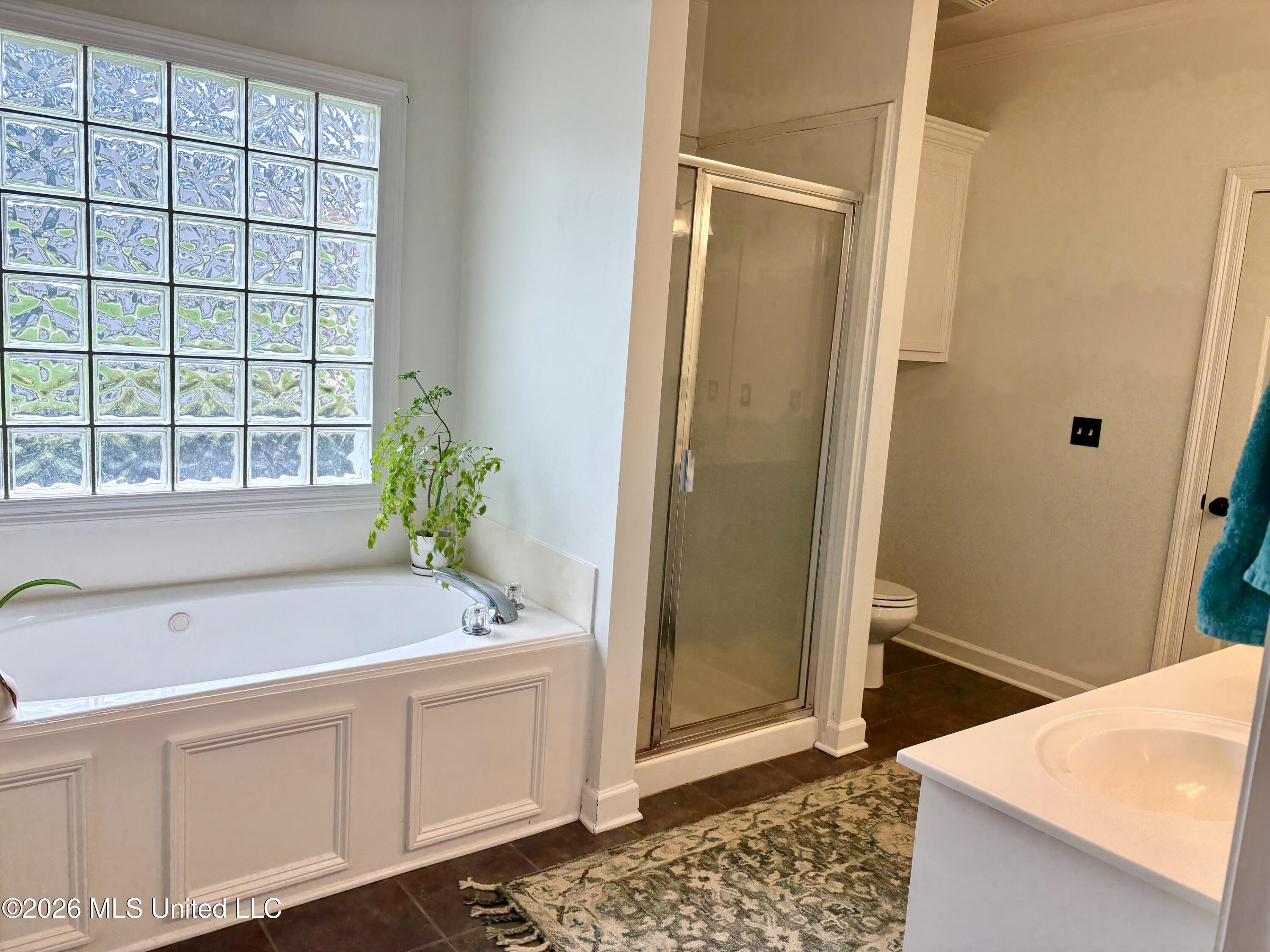 803 Annandale Road Madison, MS 39110 - Photo 14 of 21 IMG_0356 (1)