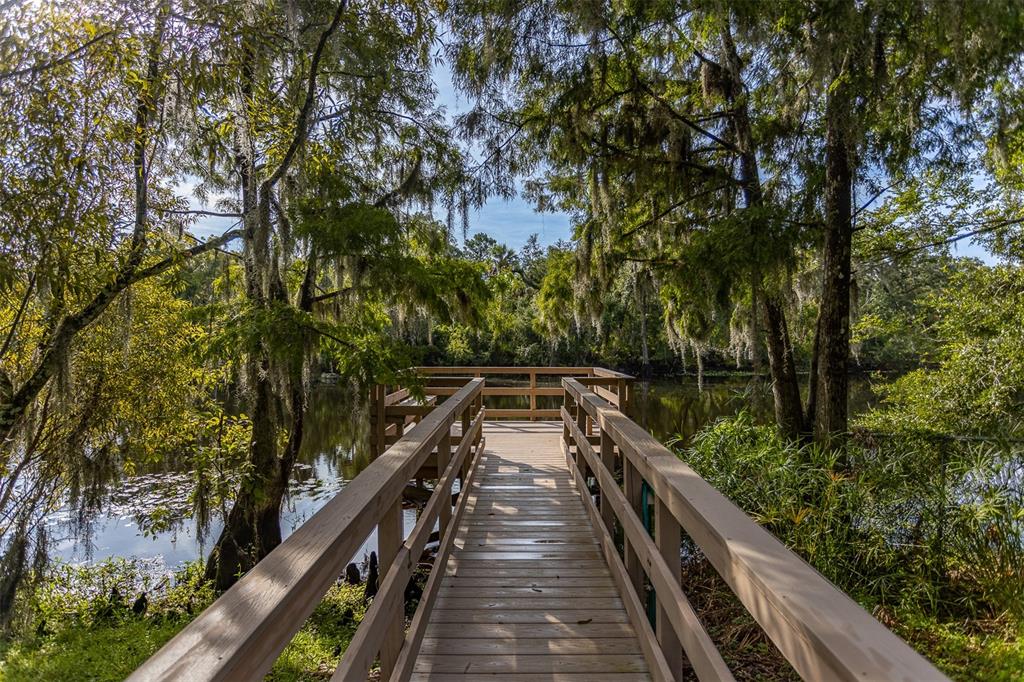 11508 Robles Del Rio Place Temple Terrace, FL 33617 - Photo 22 of 28