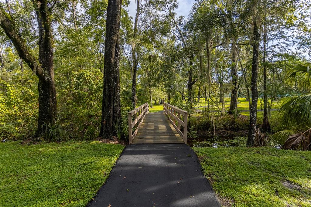 11508 Robles Del Rio Place Temple Terrace, FL 33617 - Photo 26 of 28