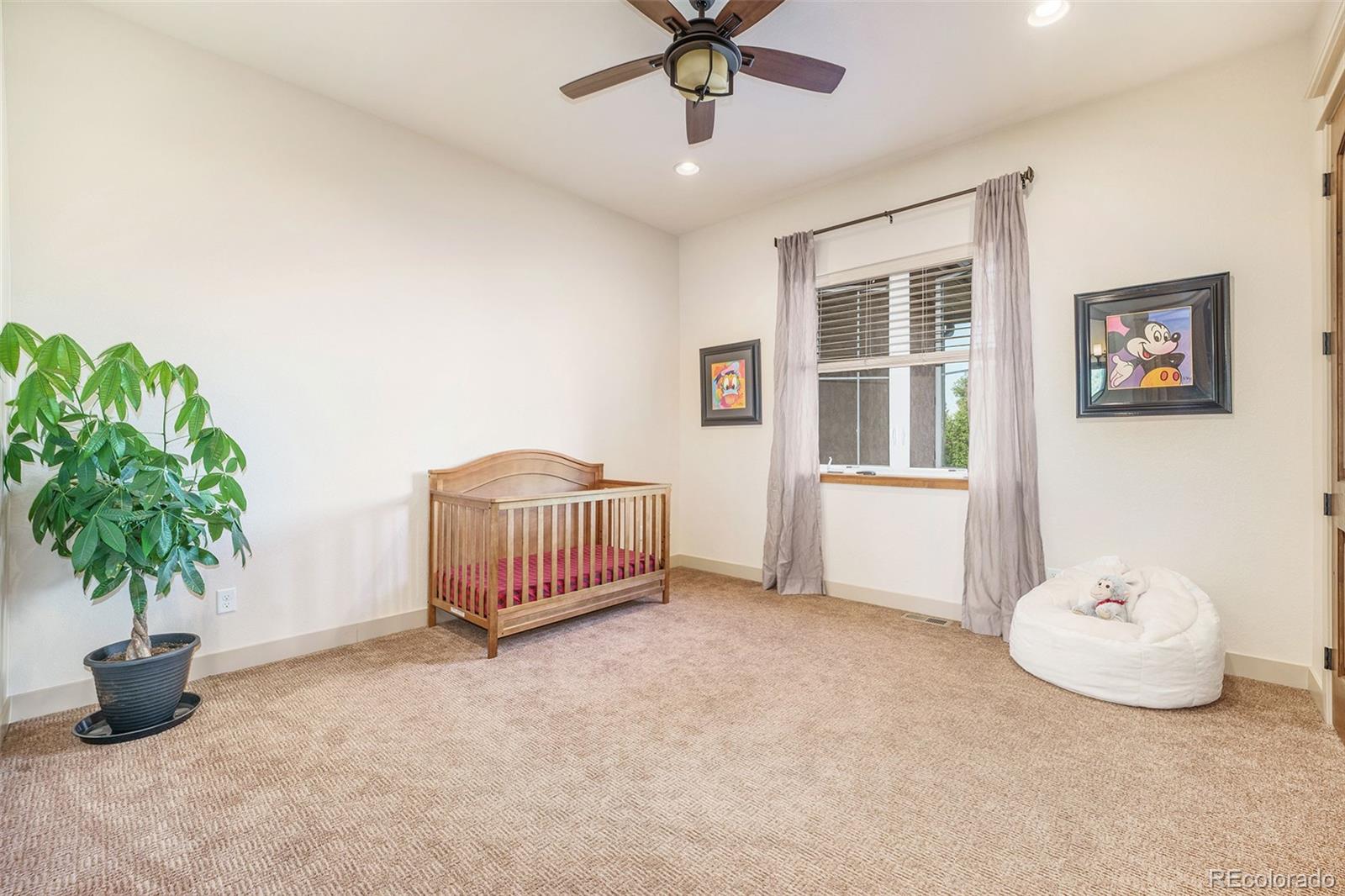 5792 Yank Street Arvada, CO 80002 - Photo 24 of 40 a living room with furniture and potted plant