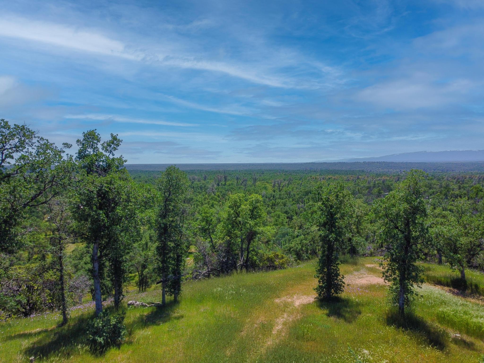 40 Two Feathers Road Igo, CA 96047 - Photo 7 of 16 DJI_0078-Edit