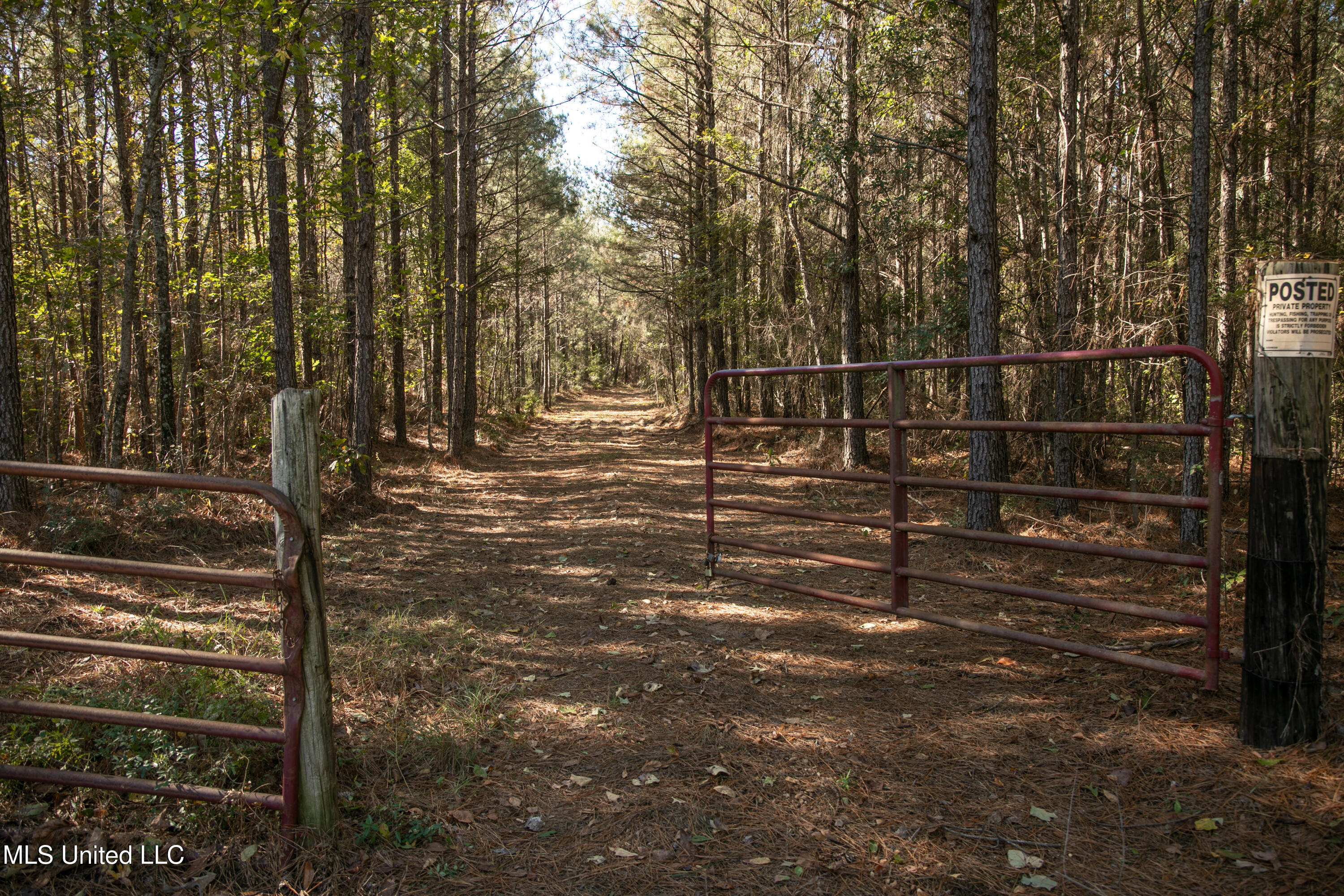 Union Road Hazlehurst, MS 39083 - Photo 1 of 29 copiah40-60
