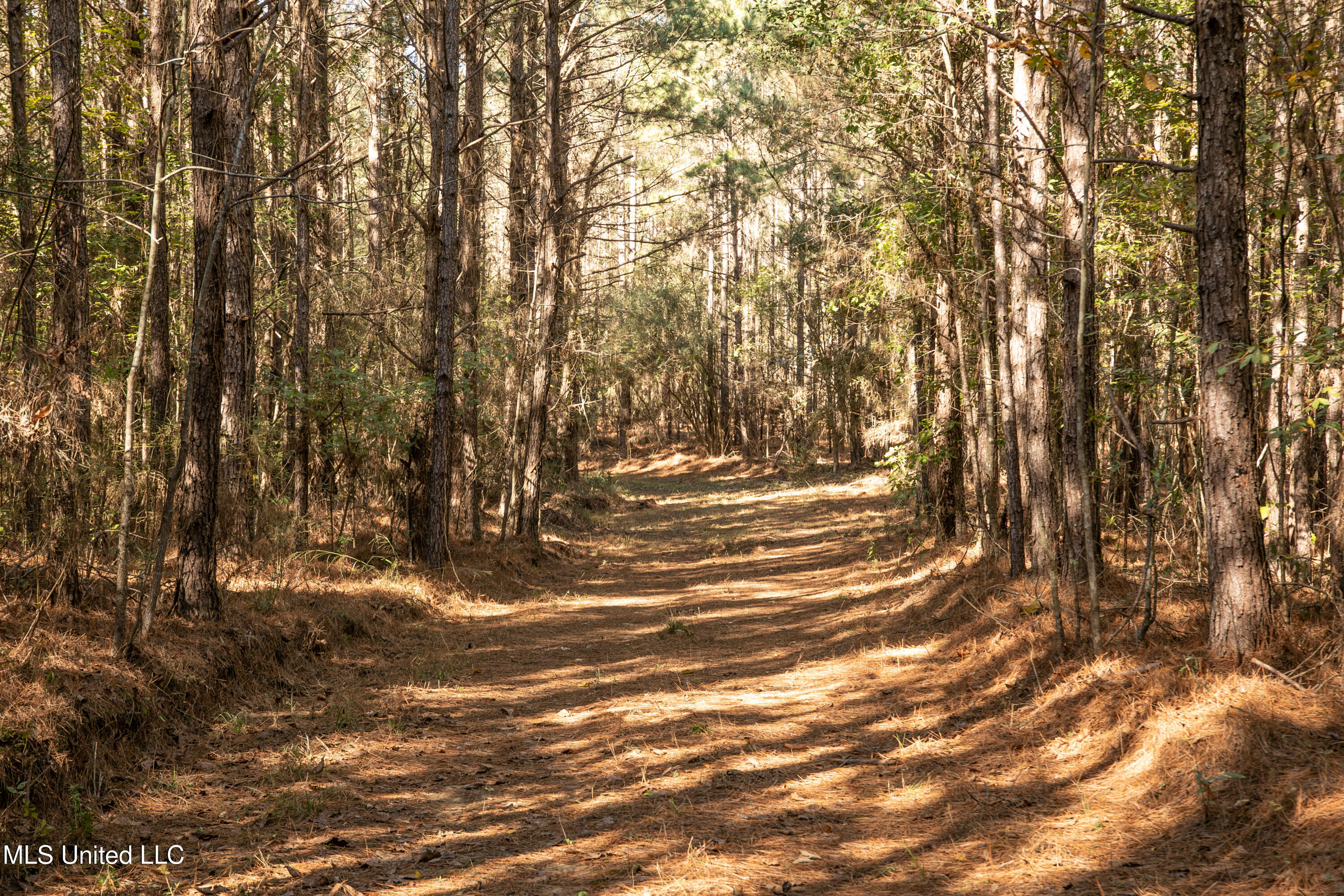 Union Road Hazlehurst, MS 39083 - Photo 12 of 29 copiah40-43